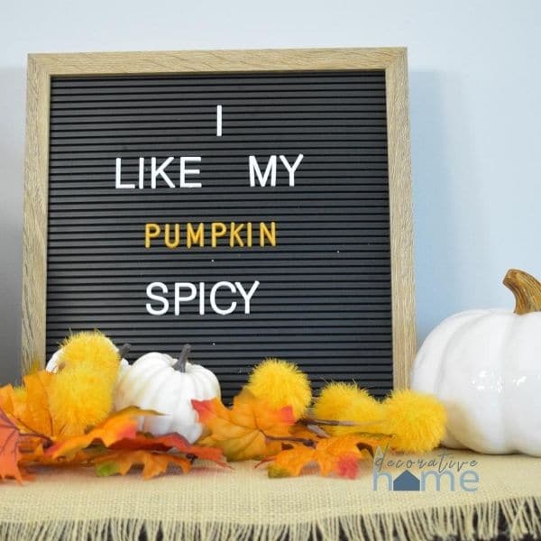 Sign says I like my pumpkin spicy