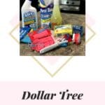 Cleaning supplies that are from the Dollar store.