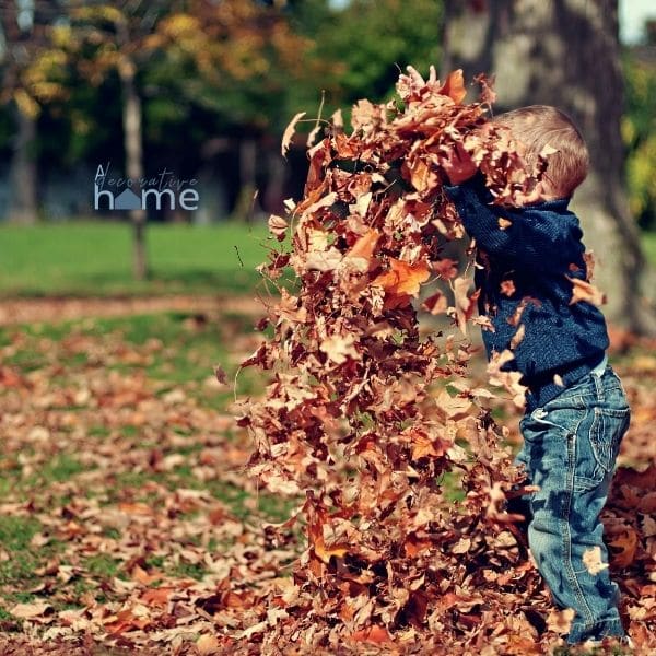 Little boy jumping in a leaf pile.